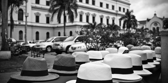 Panama hats in Bella Vista, Panama. Photo source: Dennis Tang (Flickr). Creative Commons.