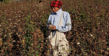 CottonPicker_Uzbekistan. Photo Credit: Chris Shervey (Flickr) Creative Commons