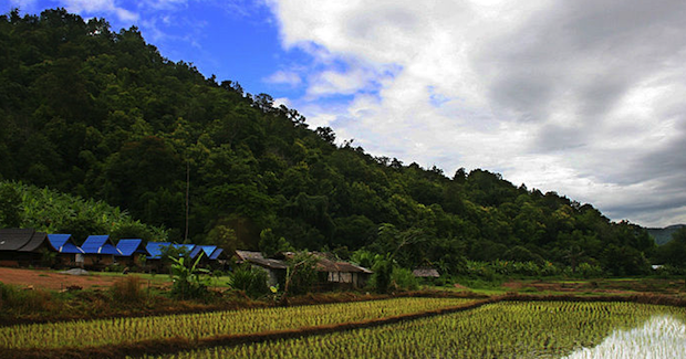 Thailand Rice Photo Credit: Martin-Manuel Beauine (Wikimedia Commons) Creative Commons