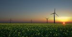 Early morning on a wind farm