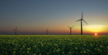 Early morning on a wind farm