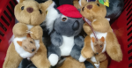 Kangaroo, koala soft toys AUD10 for 3 - Australia Map Souvenirs, Melbourne - Flickr: Alpha