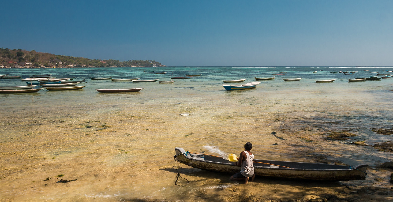 Indonesian Seaweed Skipper. Source: Jannik Reinhold https://bit.ly/3a5iLxK