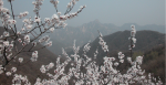 View from the Great Wall of China. Source: Norma Fincher https://bit.ly/2NPXkIh